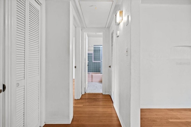 hallway featuring baseboards, attic access, and wood finished floors