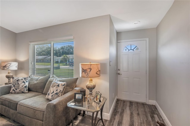 entrance foyer with baseboards and wood finished floors