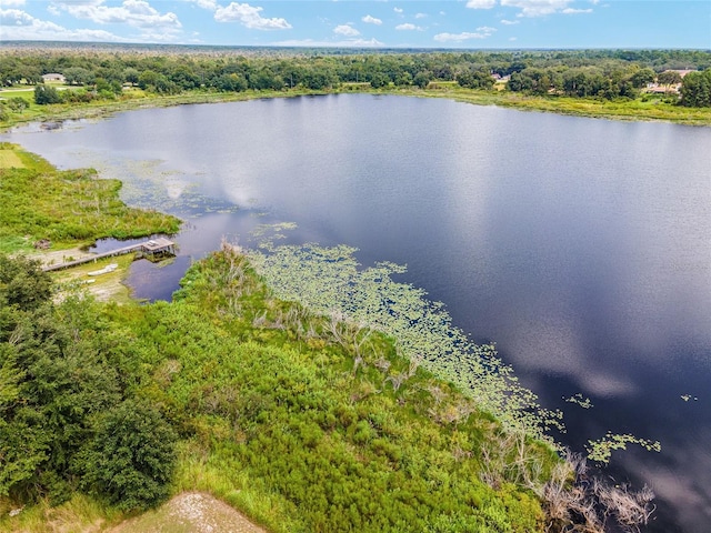 bird's eye view with a forest view and a water view