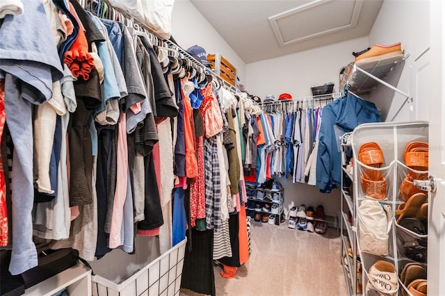 spacious closet with attic access and carpet floors