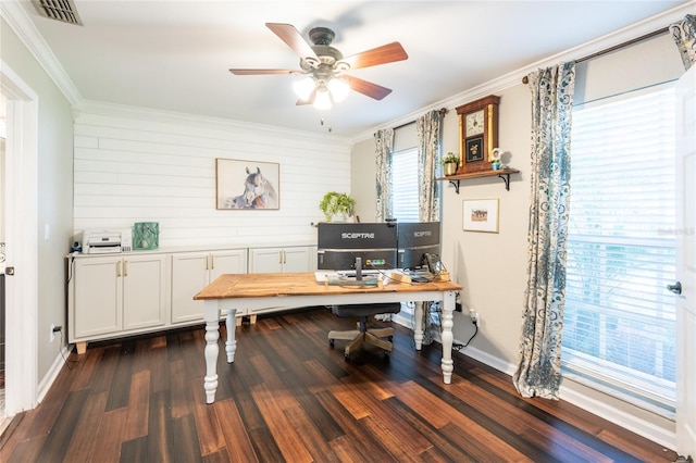 office featuring ornamental molding, visible vents, dark wood finished floors, and ceiling fan