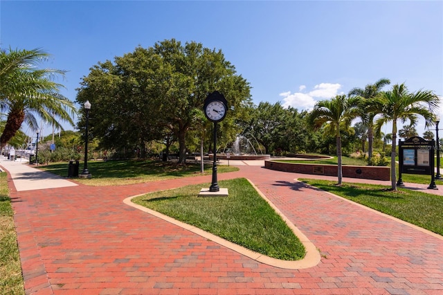 view of property's community with a yard