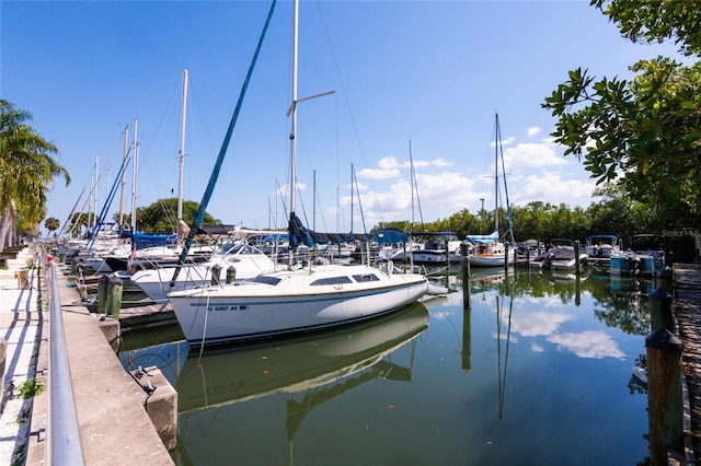 dock area with a water view