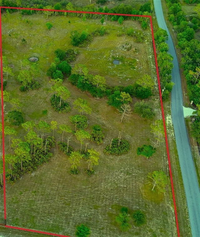75th Ave E, Myakka City, FL 34251 - photo 3