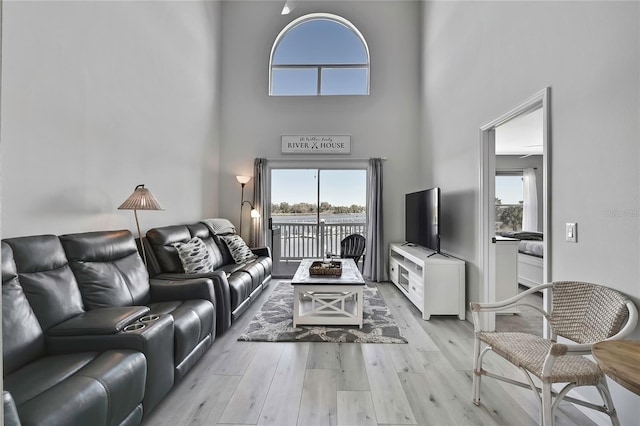 living room with a high ceiling and light hardwood / wood-style floors