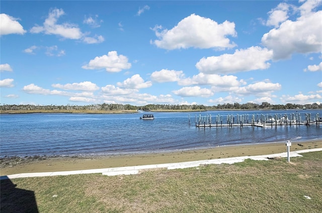 dock area with a water view