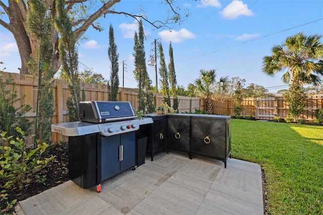 view of patio with a fenced backyard and grilling area