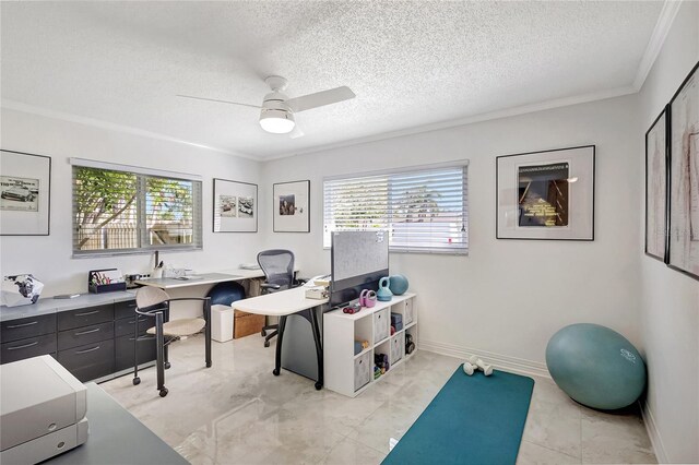 1389 47th Ave NE, Saint Petersburg, FL 33703 - photo 28
