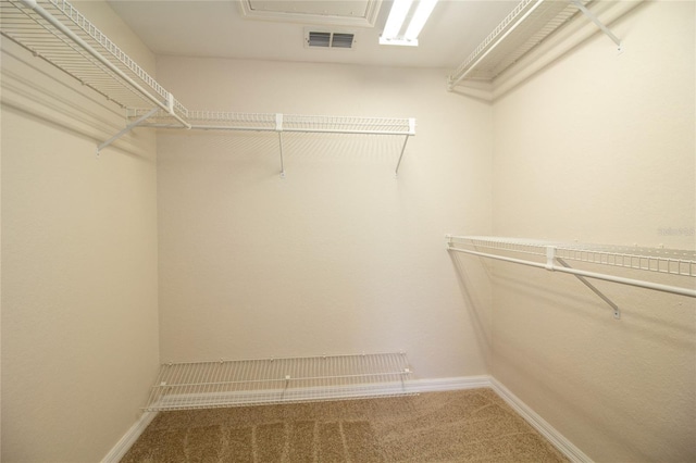 spacious closet featuring carpet flooring and visible vents