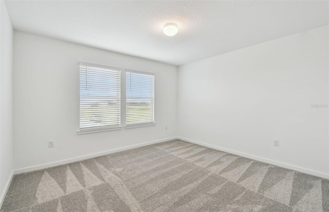 10356 Cross River Trl, Parrish, FL 34219 - empty room featuring carpet floors and baseboards