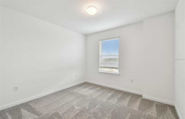 10356 Cross River Trl, Parrish, FL 34219 - empty room with carpet floors, baseboards, and a textured ceiling
