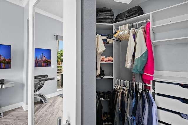 walk in closet with wood finished floors