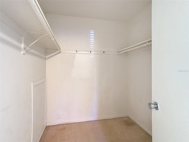 6312 Newtown Cir Unit 12A5, Tampa, FL 33615 - view of walk in closet