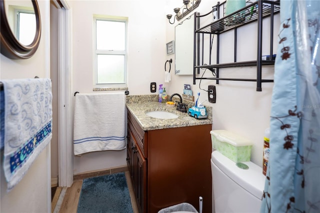 bathroom with vanity, toilet, and wood finished floors