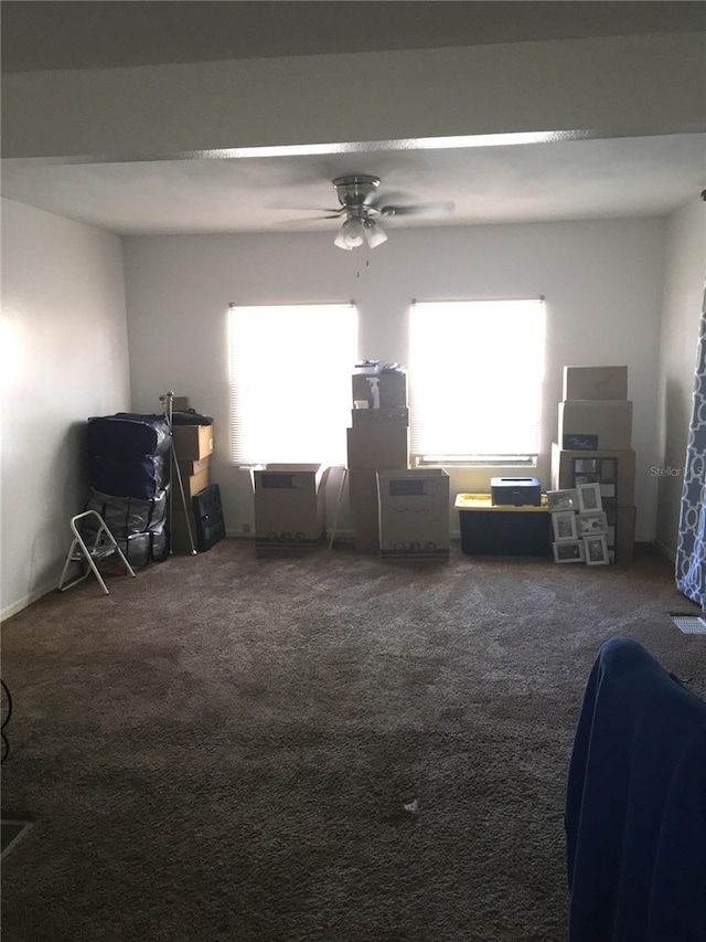 bedroom featuring carpet flooring