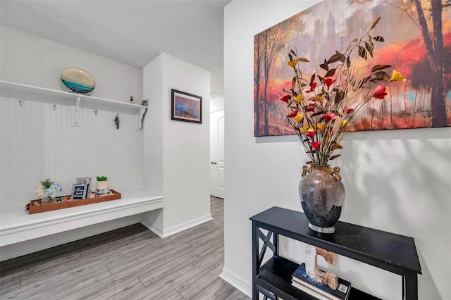 mudroom featuring hardwood / wood-style flooring