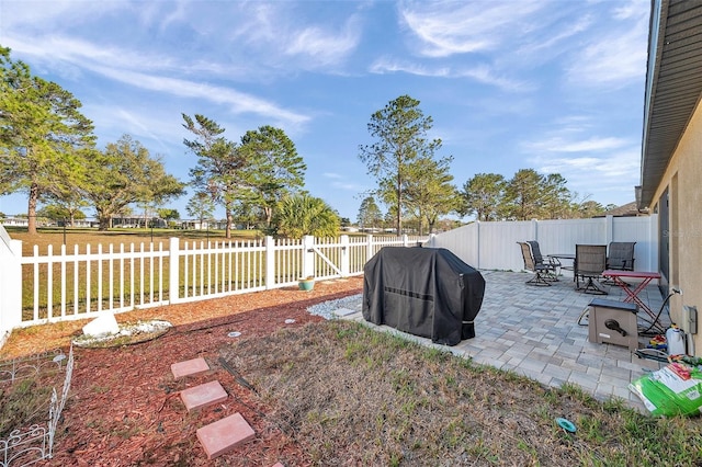 view of yard featuring a patio