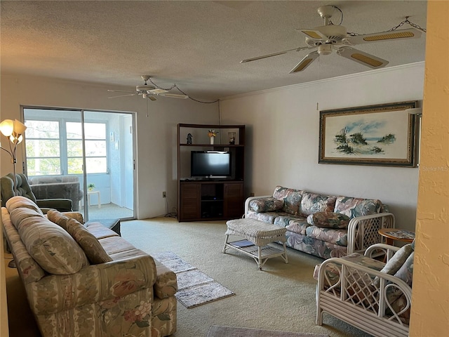 9815 47th Ave N Unit 303, Saint Petersburg, FL 33708 - living room with ceiling fan, carpet flooring, and a textured ceiling