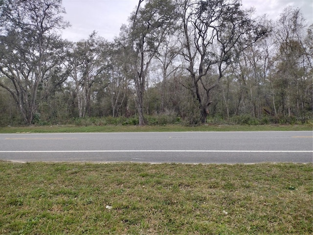 Treiman Blvd, Webster FL, 33597 land for sale