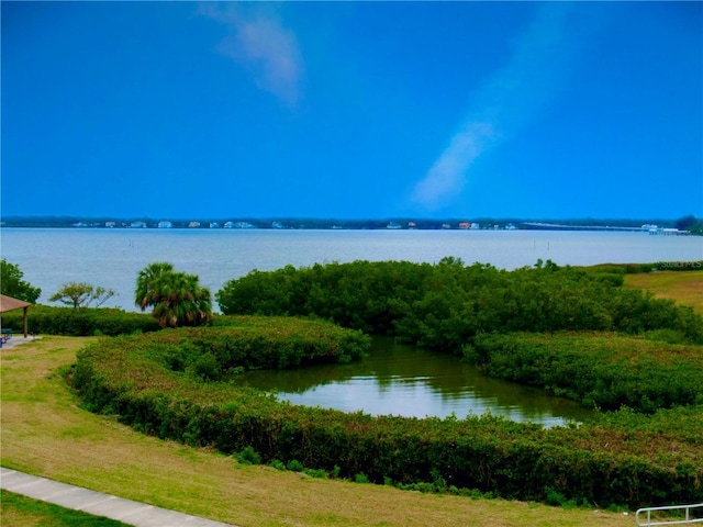 406 Shore Dr W, Oldsmar, FL 34677 - property view of water