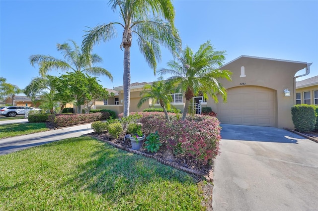 view of front of home featuring driveway, a front yard, a garage, and stucco siding