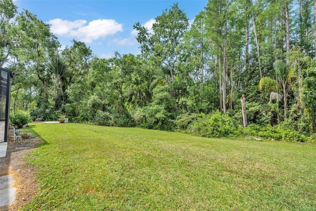 4520 Pine Hollow Dr, Tampa, FL 33624 - view of green lawn