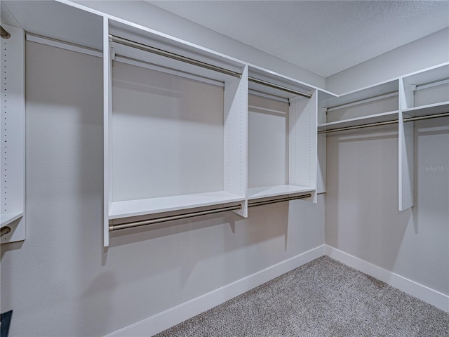 spacious closet with carpet