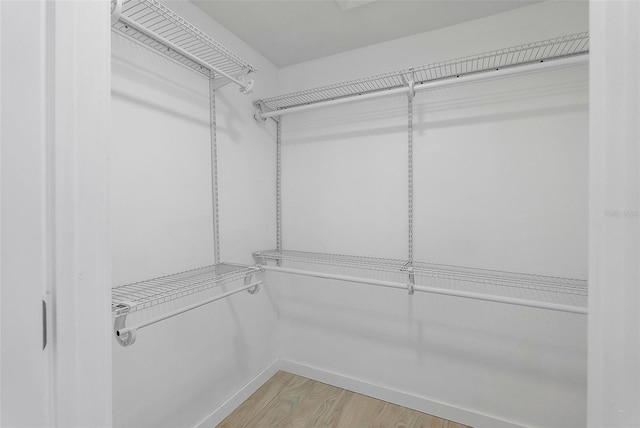 1984 Kansas Ave NE, Saint Petersburg, FL 33703 - walk in closet with wood finished floors