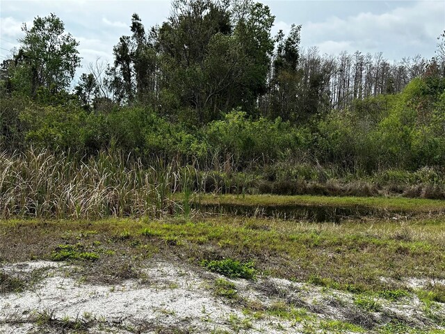 Henderson Rd, Tampa, FL 33625 - photo 10