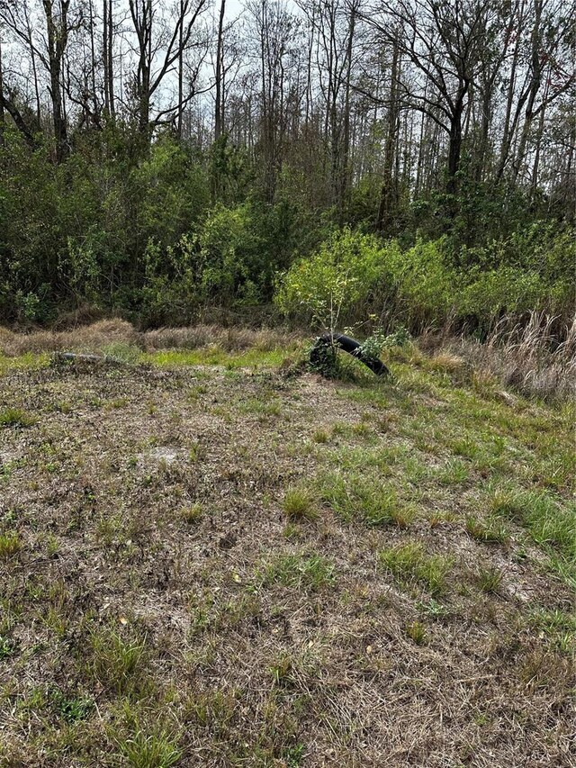 Henderson Rd, Tampa, FL 33625 - photo 18