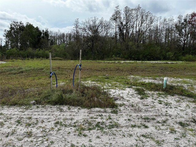 Henderson Rd, Tampa, FL 33625 - photo 21