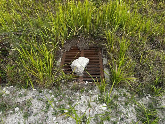 Henderson Rd, Tampa, FL 33625 - photo 23