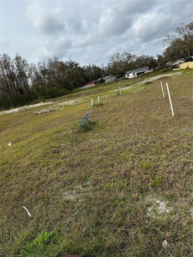 Henderson Rd, Tampa, FL 33625 - photo 25