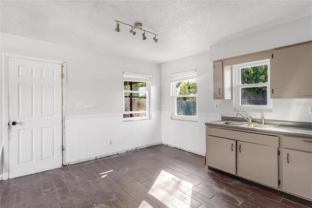 kitchen with a wainscoted wall, a textured ceiling, and wood tiled floor