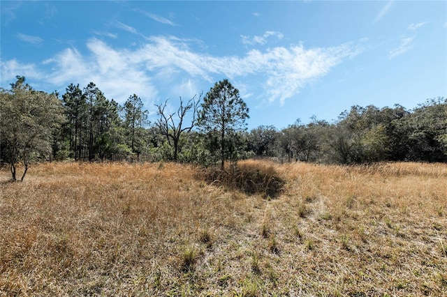 view of local wilderness