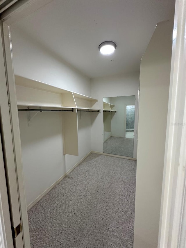 walk in closet featuring carpet