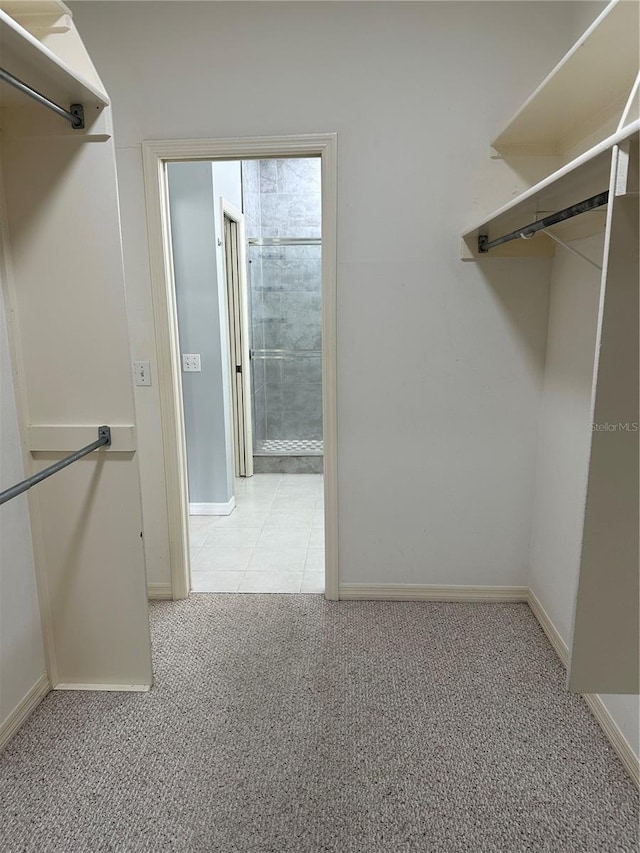 walk in closet featuring light carpet