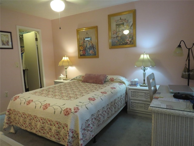 bedroom featuring a spacious closet and dark carpet