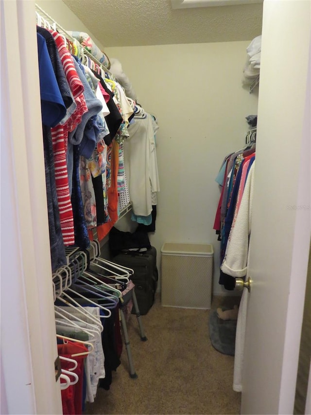 spacious closet featuring carpet