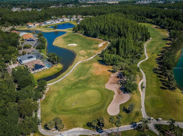 18186 Sandy Pointe Dr, Tampa, FL 33647 - aerial view featuring view of golf course, a forest view, and a water view
