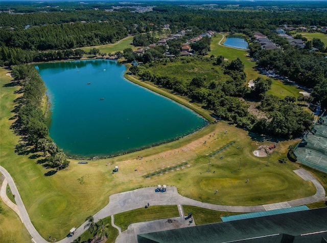 18186 Sandy Pointe Dr, Tampa, FL 33647 - birds eye view of property featuring a forest view and a water view