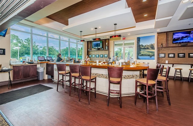18186 Sandy Pointe Dr, Tampa, FL 33647 - bar with decorative backsplash, dark wood finished floors, a healthy amount of sunlight, and a raised ceiling