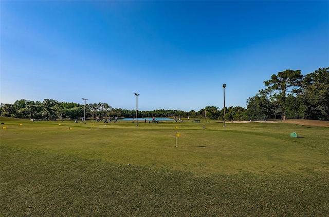 18186 Sandy Pointe Dr, Tampa, FL 33647 - surrounding community with a yard