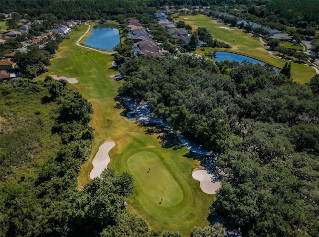 18186 Sandy Pointe Dr, Tampa, FL 33647 - bird's eye view featuring a water view and view of golf course