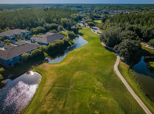 18186 Sandy Pointe Dr, Tampa, FL 33647 - bird's eye view featuring view of golf course, a water view, and a wooded view