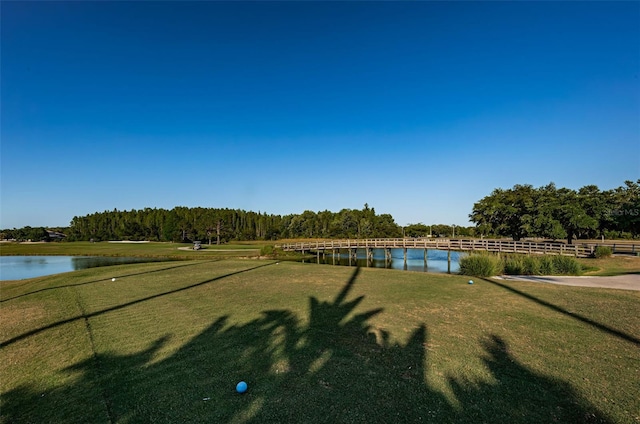 18186 Sandy Pointe Dr, Tampa, FL 33647 - view of water feature
