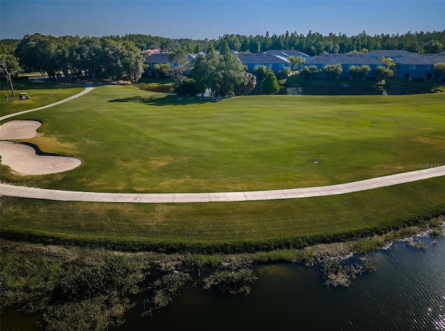 18186 Sandy Pointe Dr, Tampa, FL 33647 - birds eye view of property with a water view