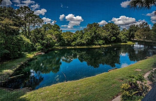 2138 Chianti Pl Unit 142, Palm Harbor, FL 34683 - water view