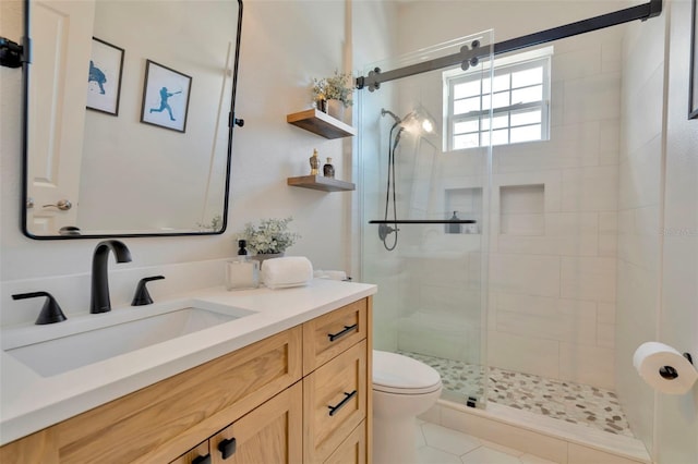 bathroom featuring toilet, a shower stall, and vanity