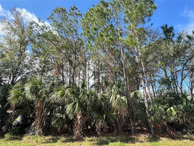 Address Not Disclosed, Crystal River FL, 34429 land for sale